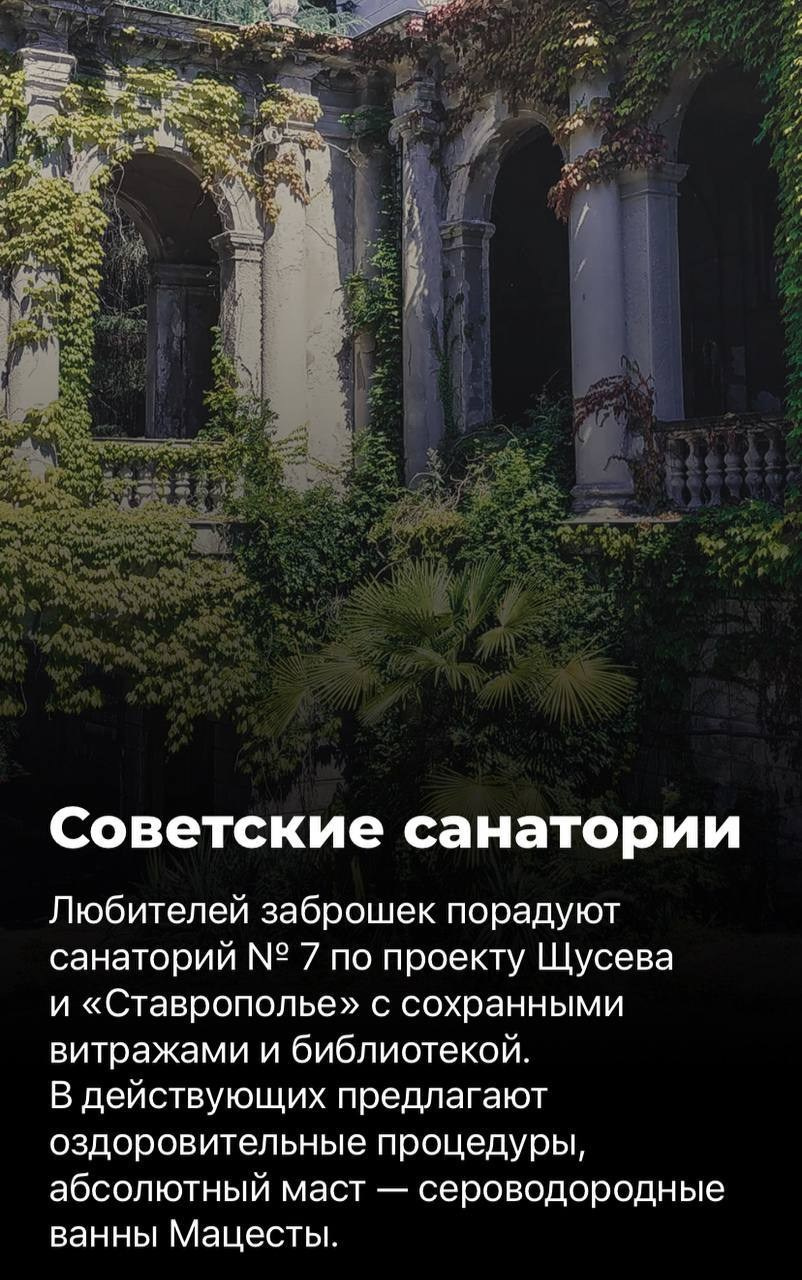 Чем заняться в Сочи весной. Милана Довгаль - семейный фотограф и видеограф  в Адлере и Сочи