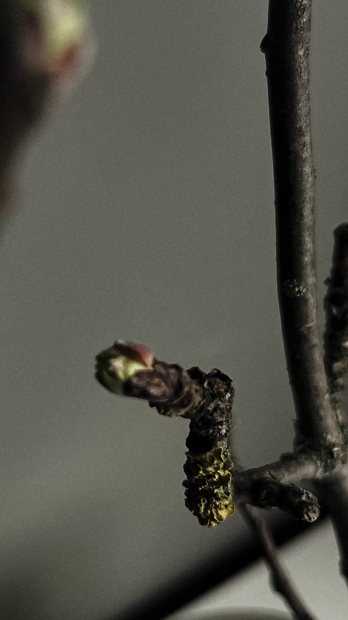 МОИМИ ГЛАЗАМИ. Nuga_visual