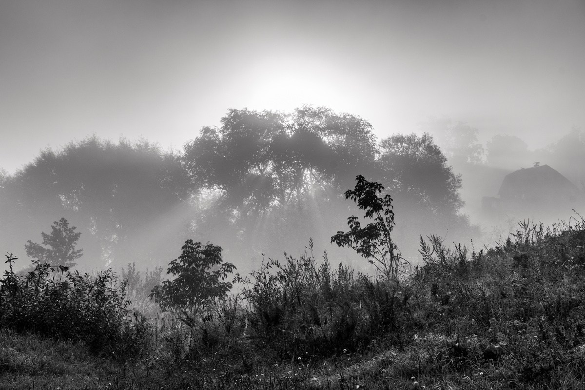 Страница со стихами. Поэт Александр Зайцев