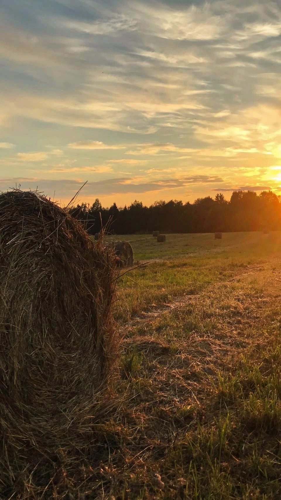 Молодость — это танцевать с бокалом. Свадебный и семейный фотограф в Карелии