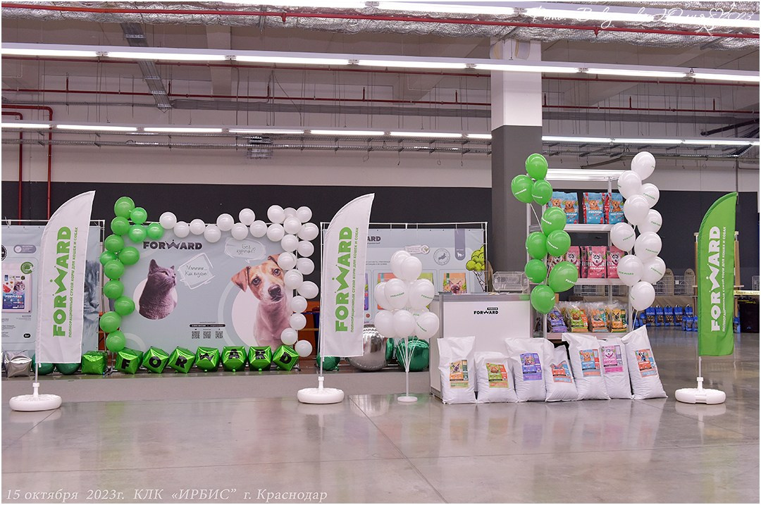 Репортаж. Фотограф анималист | семейный Юлия Вакуленко, г. Краснодар