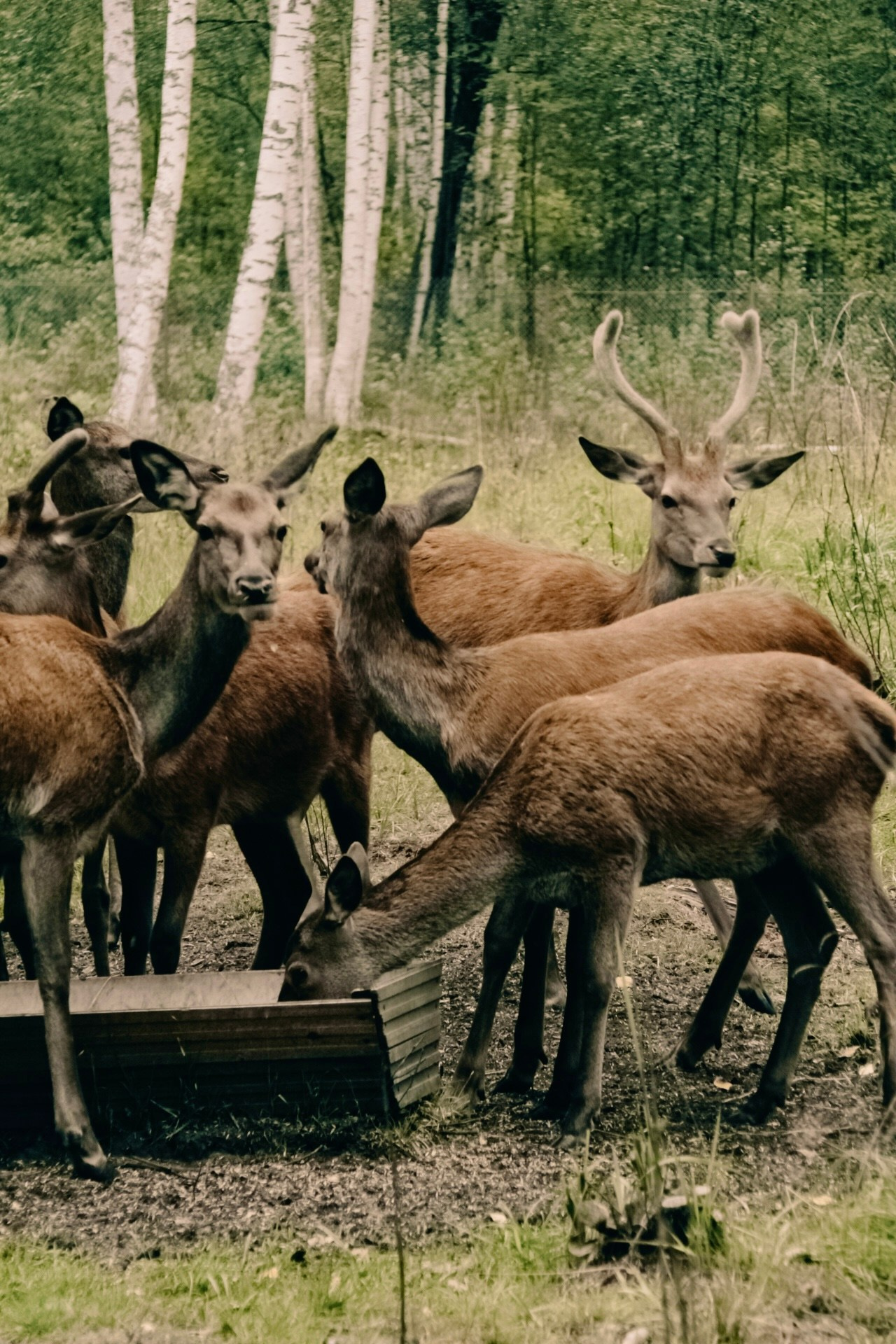 Контент-съемка. Портретный и fashion-фотограф в Санкт-Петербурге Олеся Поле