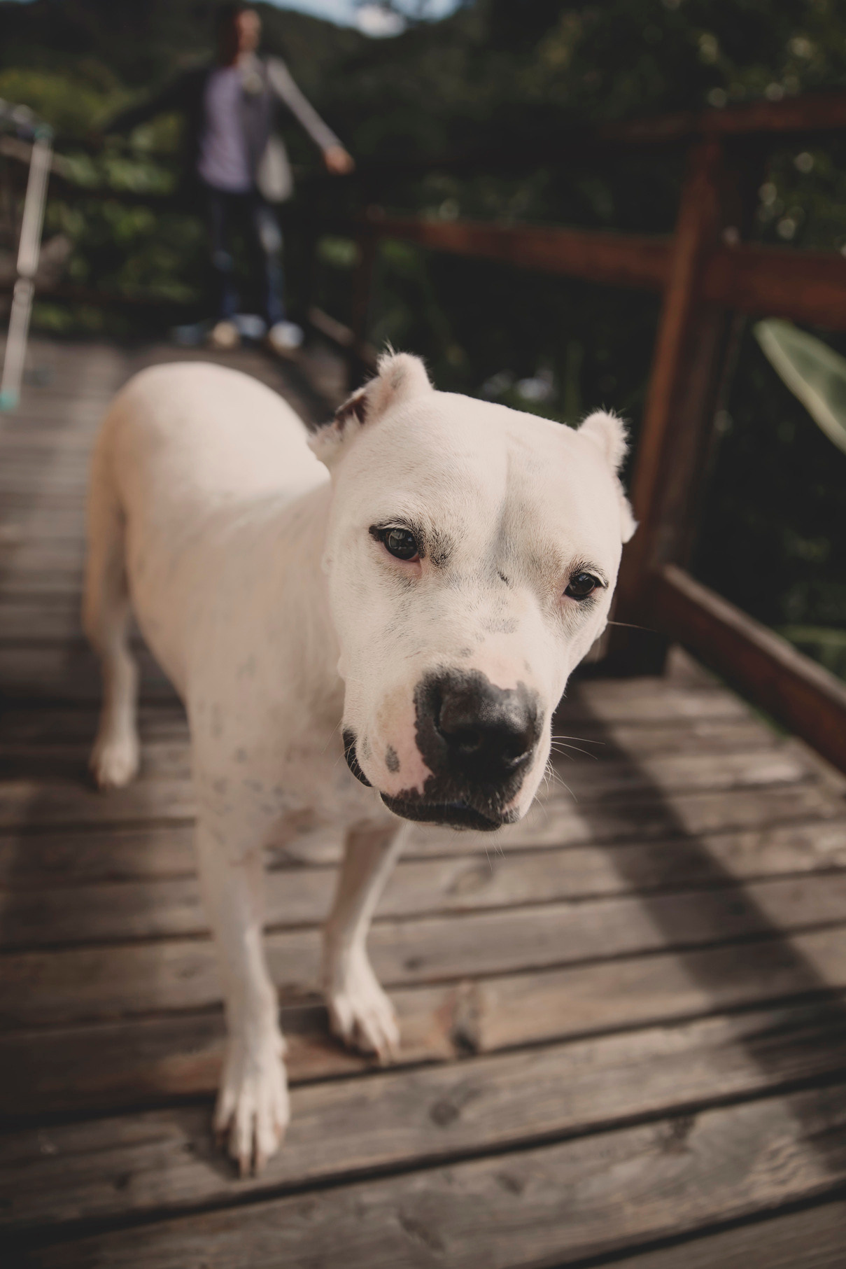 Карина и Дмитрий. Свадебный и семейный фотограф Колоскова Мария (Сочи и весь мир)