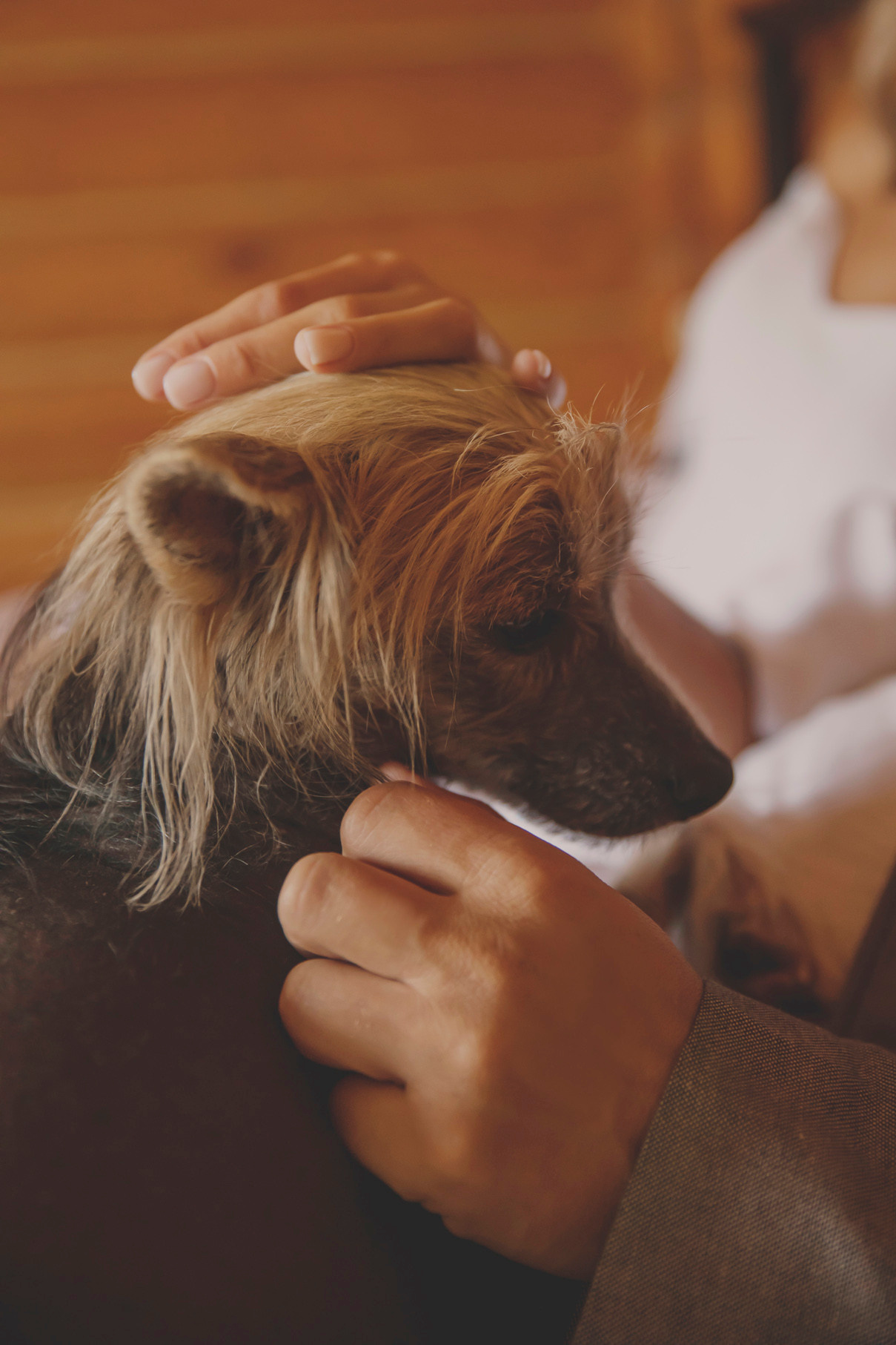 Карина и Дмитрий. Свадебный и семейный фотограф Колоскова Мария (Сочи и весь мир)