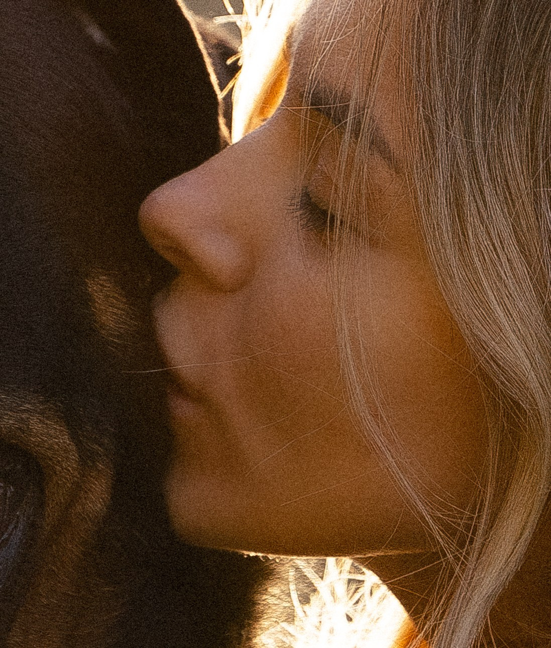 Катя, Леша, Лея и Трой. Фотограф и видеограф анималист Аганина Дарья