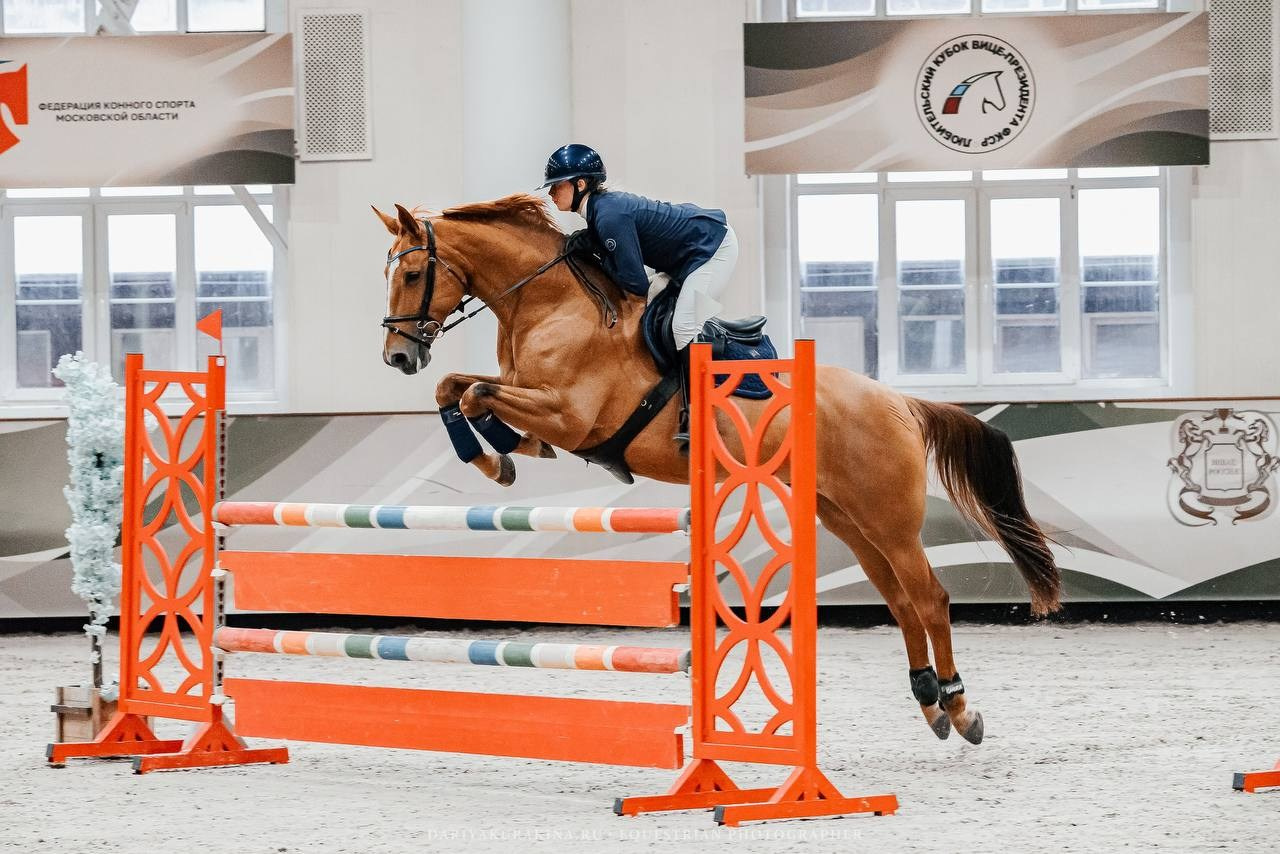 ВСЕРОССИЙСКИЕ СОРЕВНОВАНИЯ ПО КОНКУРУ КСК «ВИВАТ, РОССИИЯ». Куракина Дарья • Конный фотограф