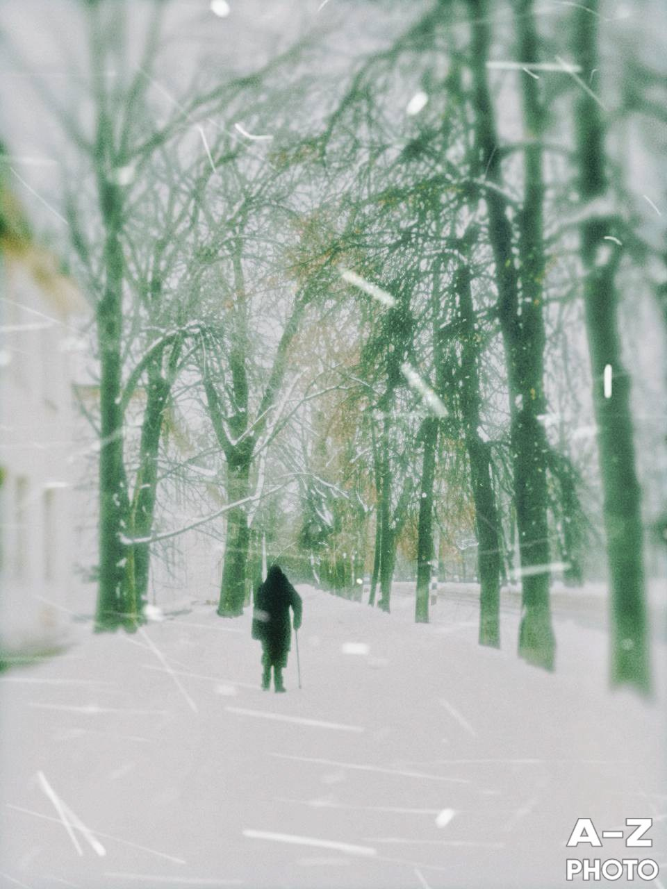 #ФОТОНЕДЕЛИ 05.01.2026. Женский семейный фотограф Тула Москва Захарова Анна