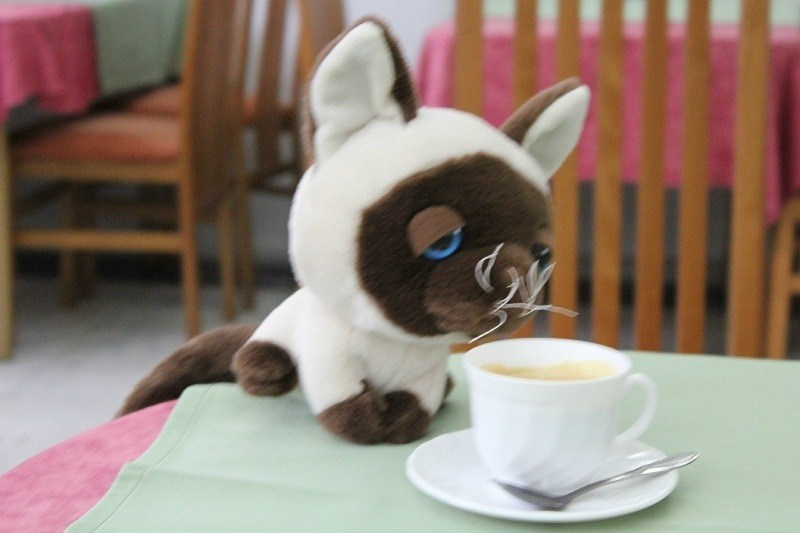 Детский день рождения! 2 года Funteamке. Галерея Фантим