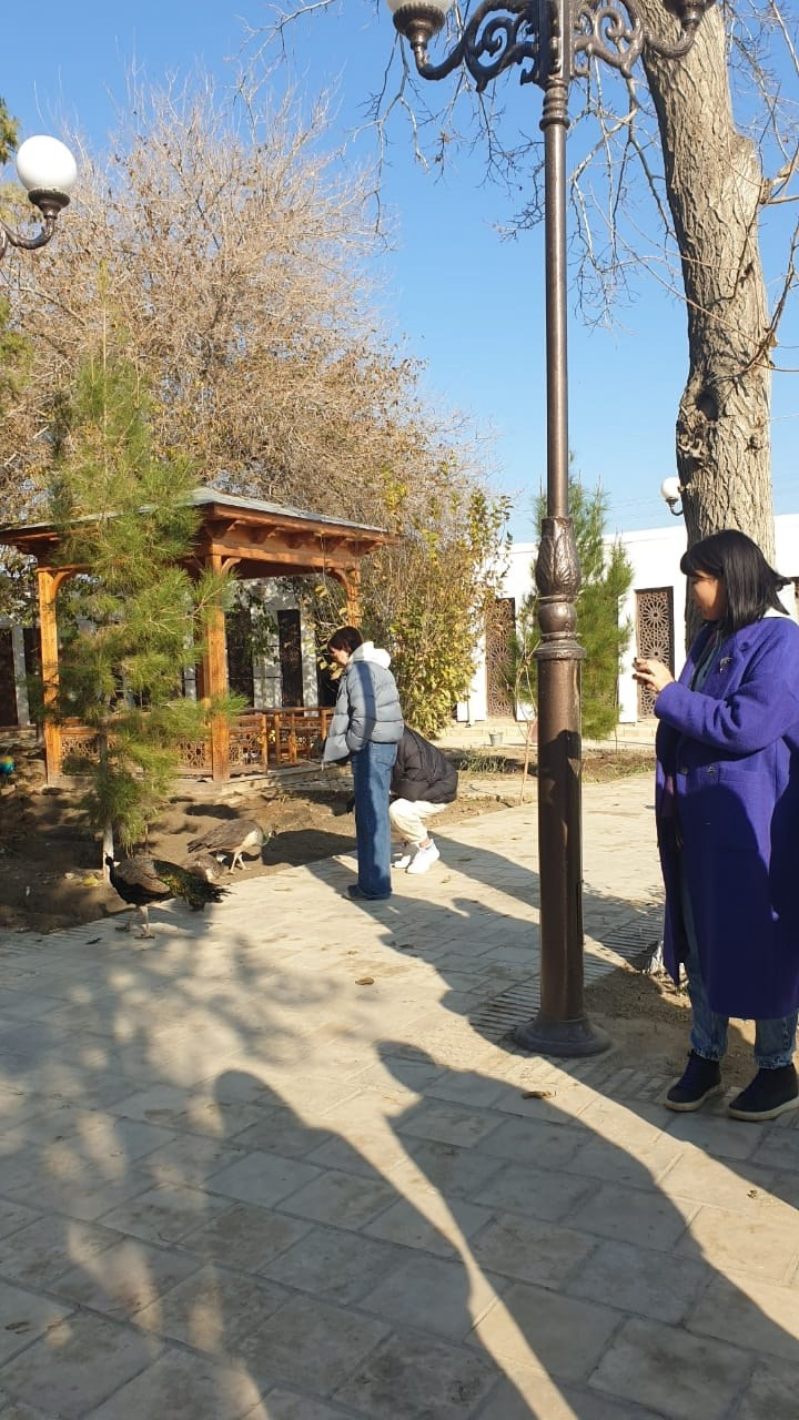 Сказочный Узбекистан | 14 — 17.11.2024. Галерея Фантим