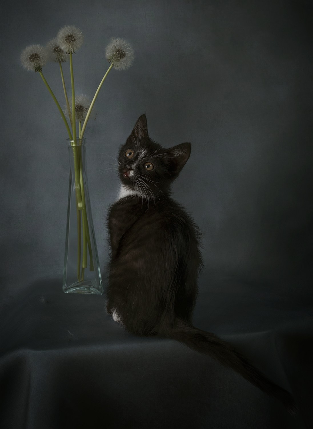 Разное. Фотограф Александр Чазов