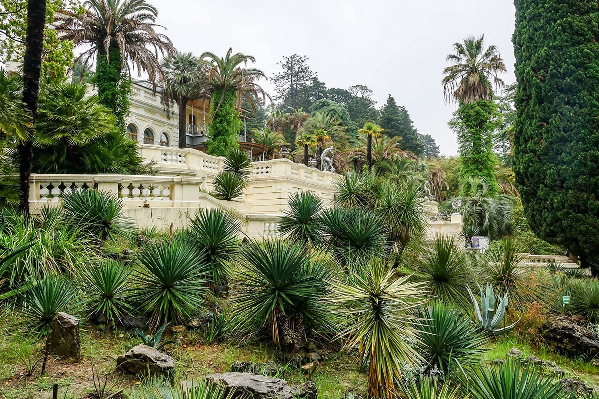 Фотосессия в дендрарии с профессиональным фотографом. Фотограф Сочи Адлер. Солькаева Анастасия