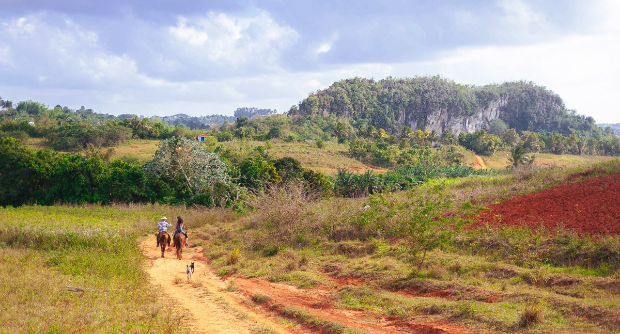 Дорога, Пейзаж, Максим Додонов, Санкт-Петербург
