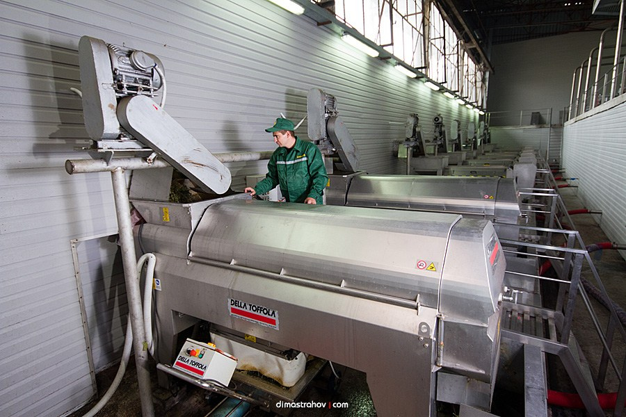 Винзавод Качинский +. Свадебный фотограф, фотосъемка в Крыму, Севастополе, Симферополе, Ялте