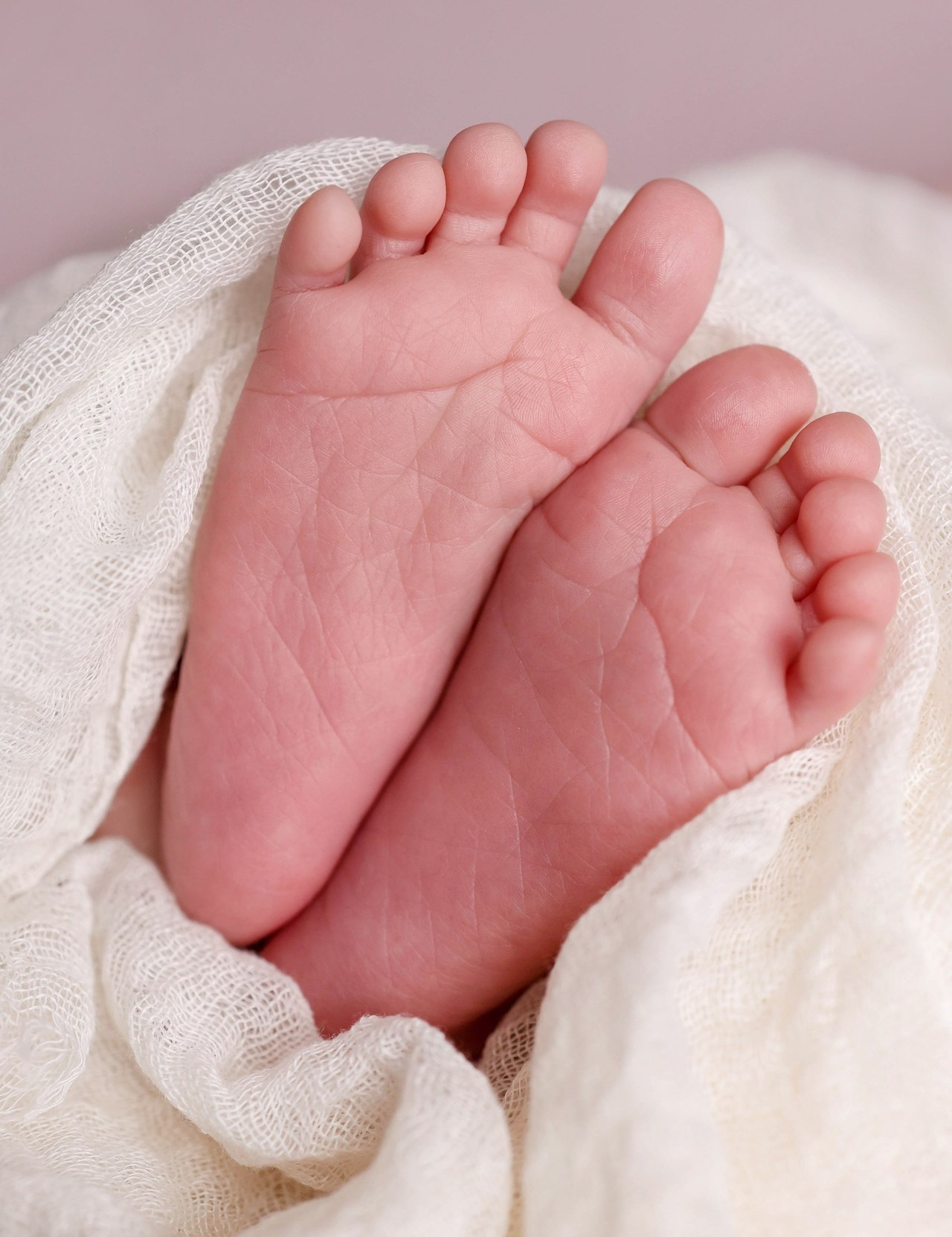 Отзывы. Alexsaphoto.ru