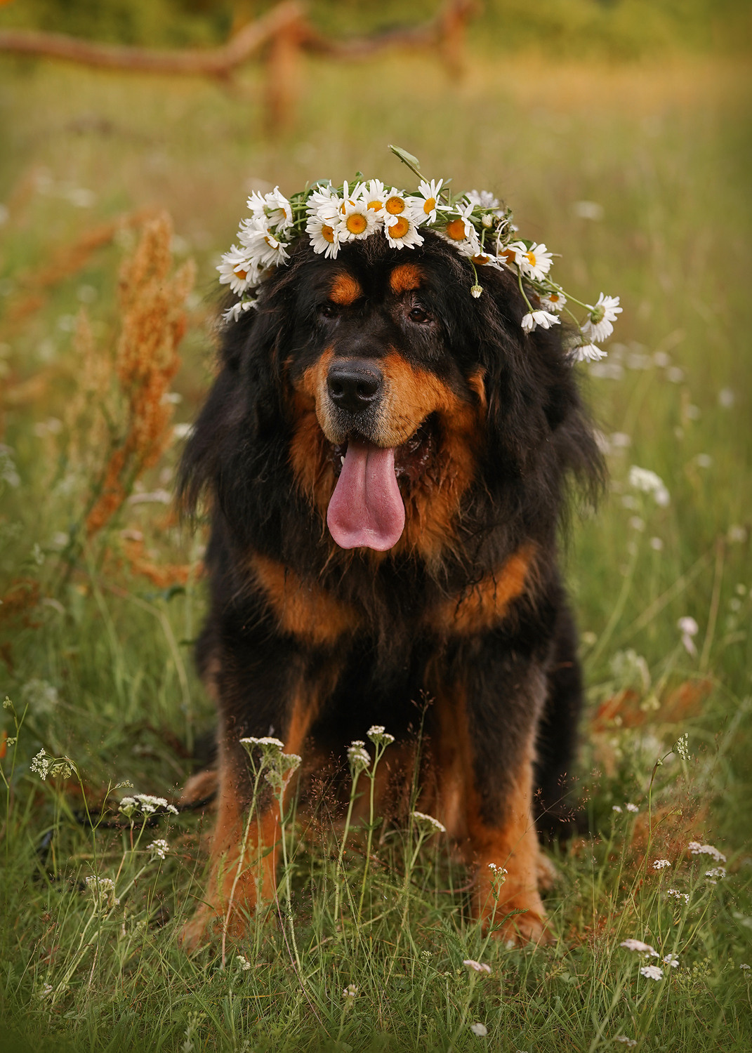 Детская. Фотограф Ирина Гарш