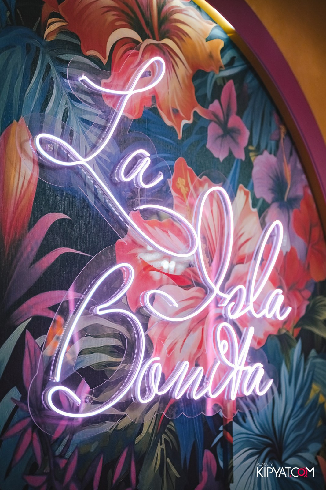 УХО И МЕДВЕДЬ НА САИНА. КИПЯТКОМ АЛМАТЫ!