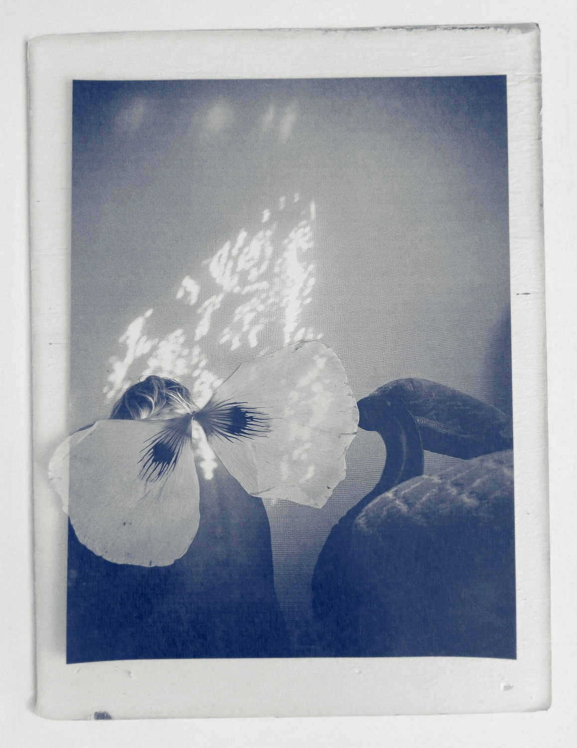 Yana Northen | Прозрачная хрупкость. Private image