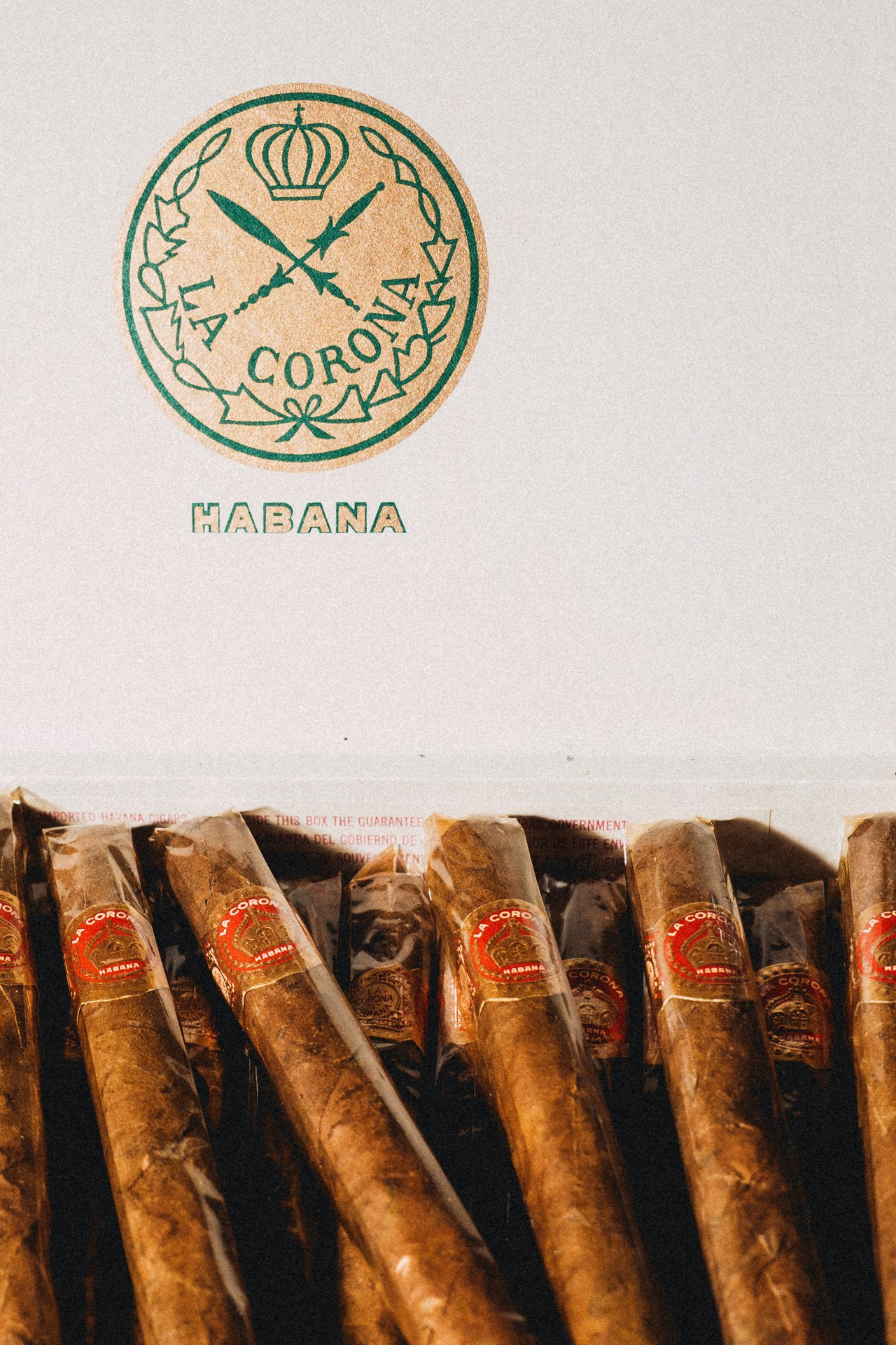 Sculptors Bar. Night2Day Санкт-Петербург