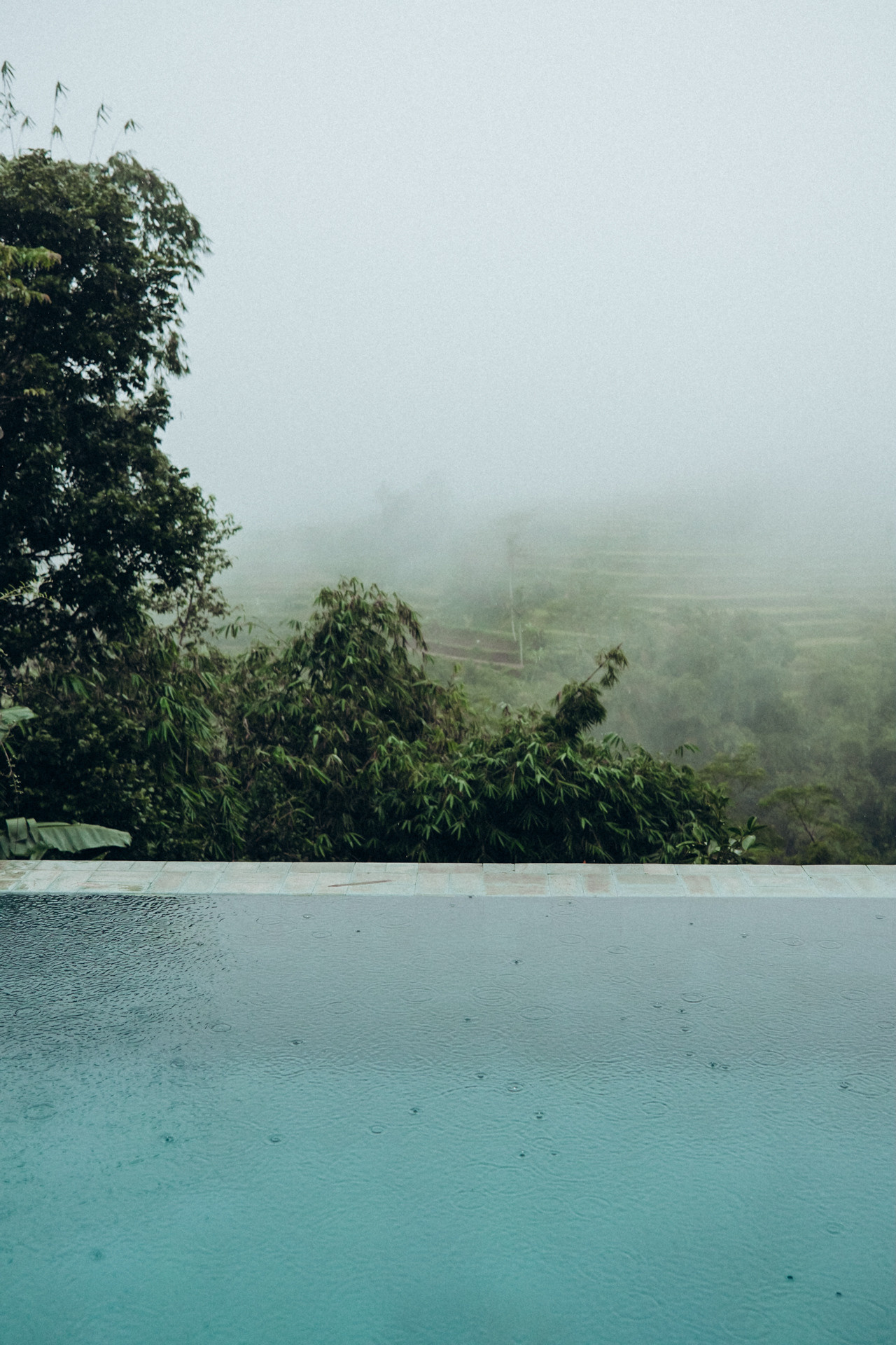 Julia and Ricard Wedding in Bali. Photographer Bali