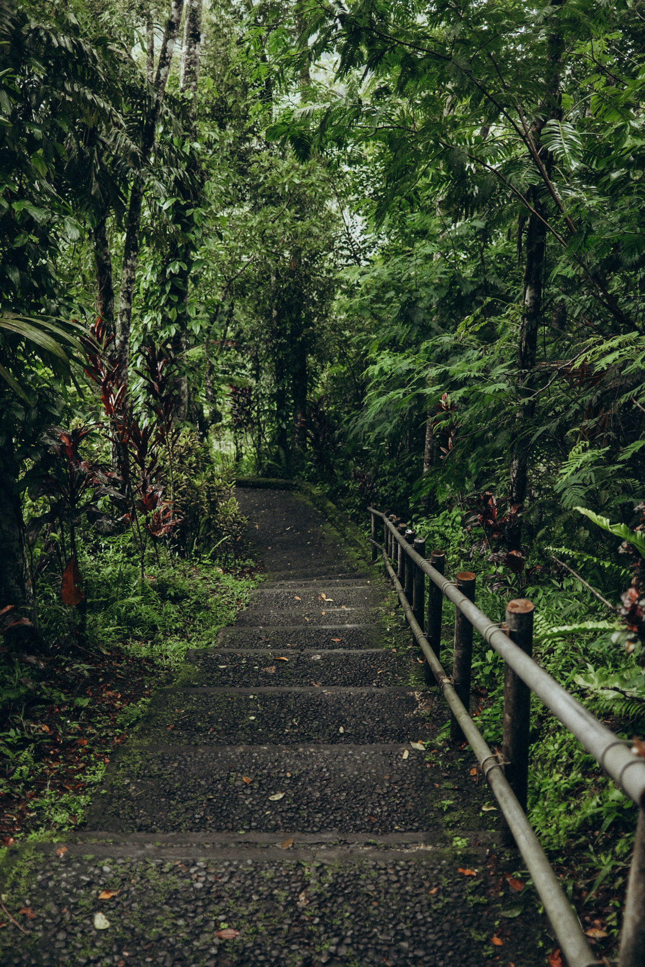 Julia and Ricard Wedding in Bali. Photographer Bali