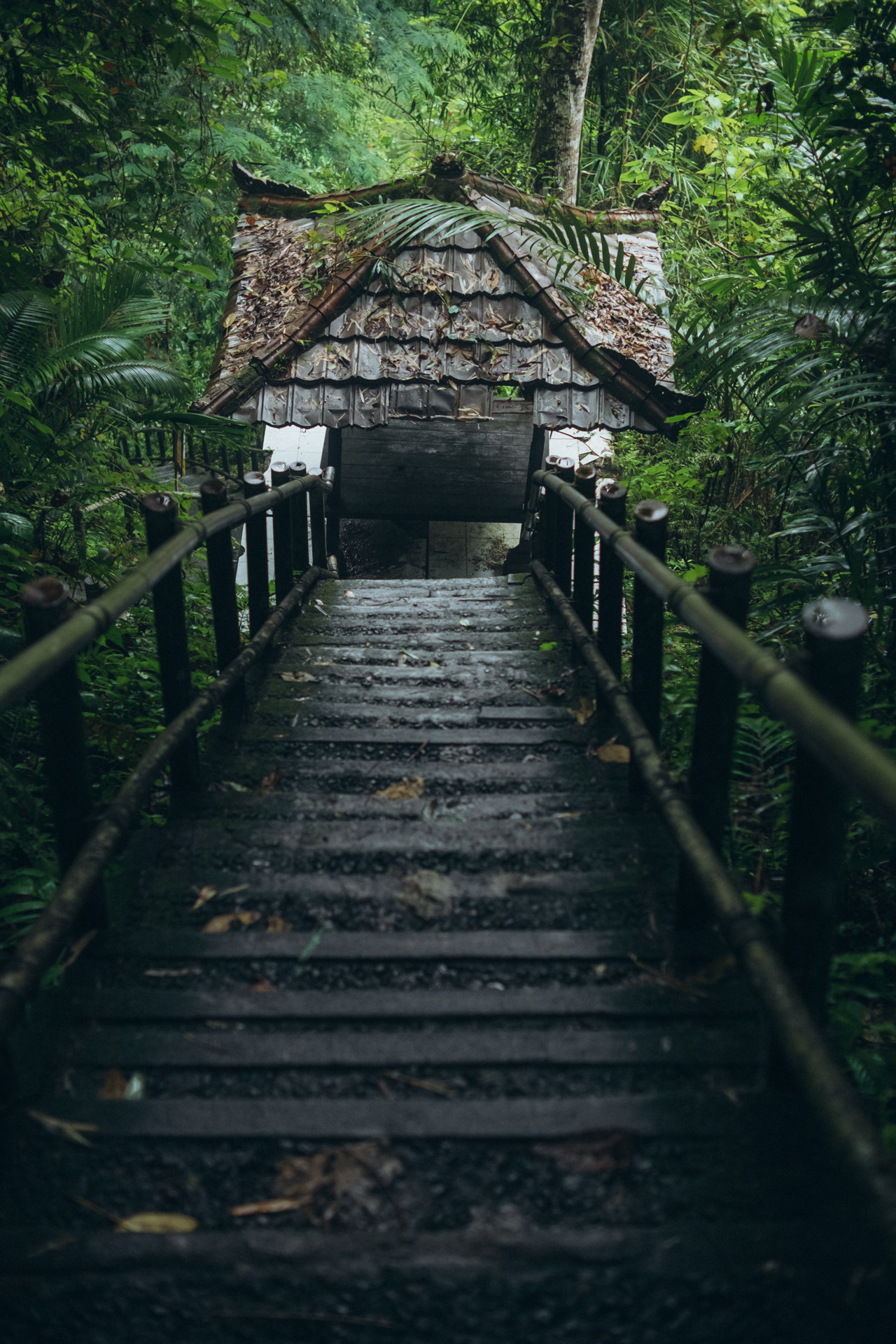 Julia and Ricard Wedding in Bali. Photographer Bali