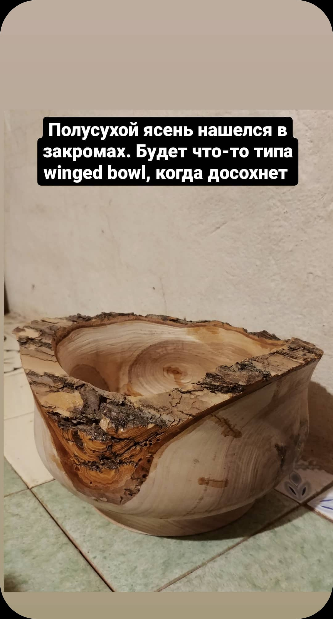 Чаши и тарелки из дерева ручной работы. Sergey Sutkovoy — Designer, photographer, traveler, woodworker