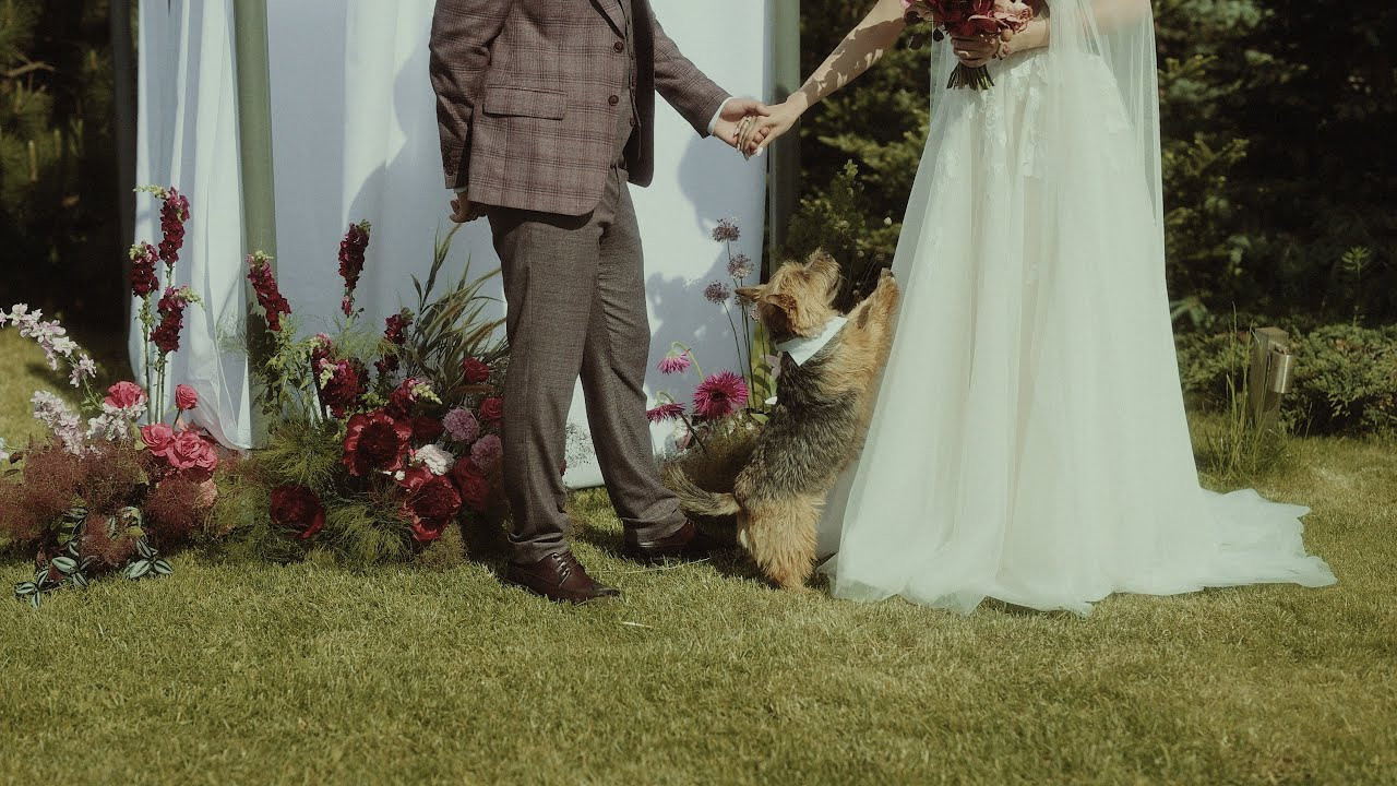 Видеосъёмка в москве не дорого. Свадебный фотограф в Москве