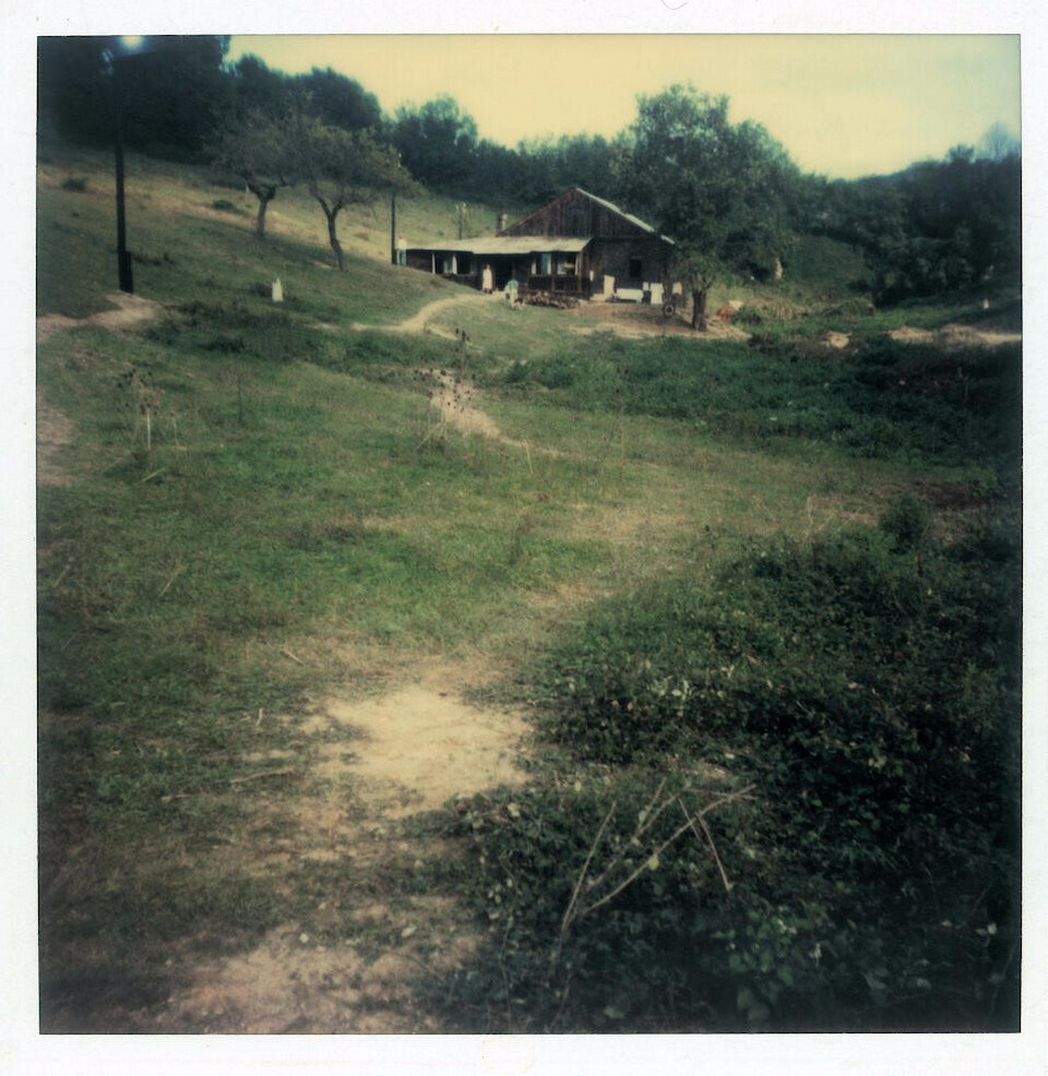 Композиция кадра. Семейный и свадебный фотограф в Майкопе Михаил Мартиросян