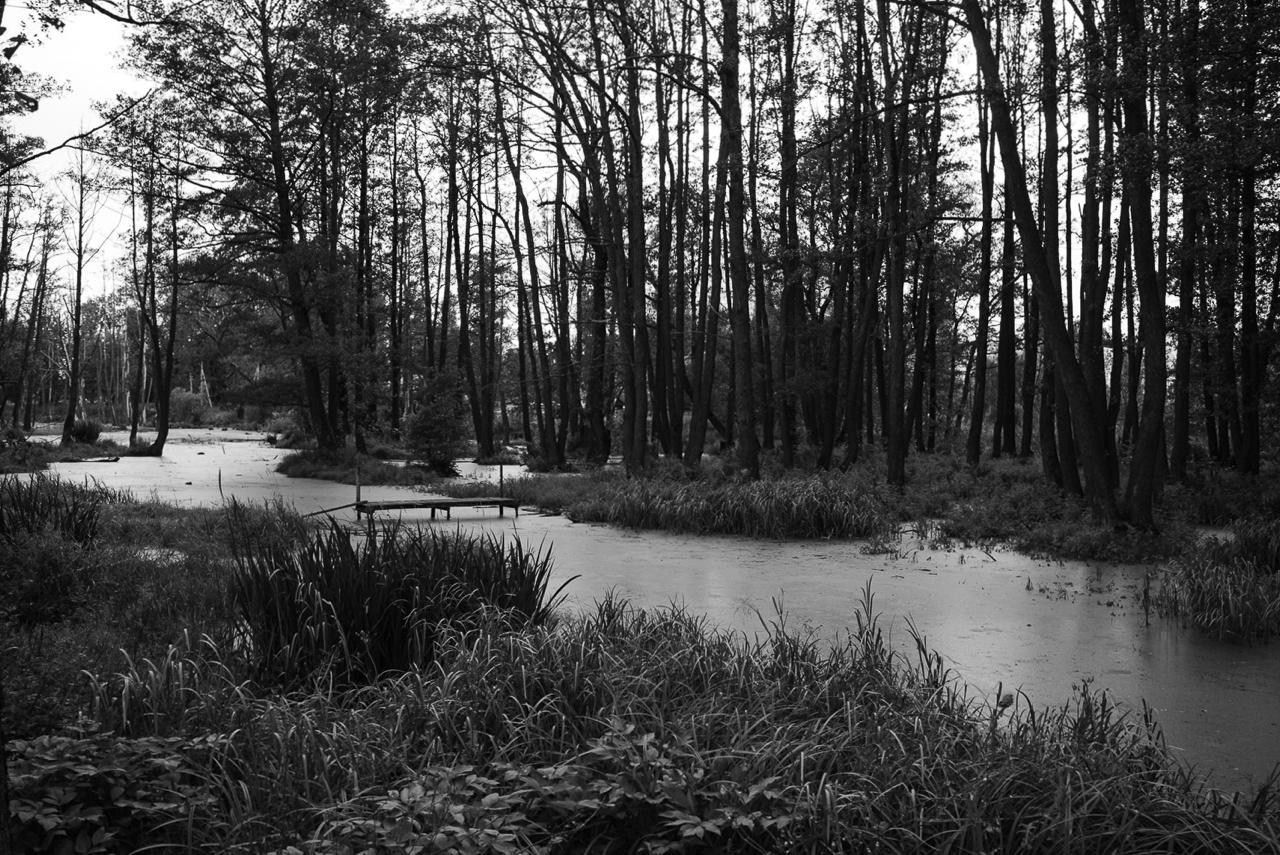 Sedimentation. Пылина Ирина — современная фотография