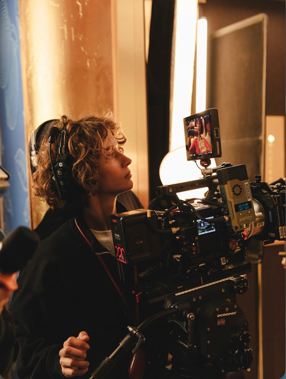 Концерты. Zaytseva.weddings