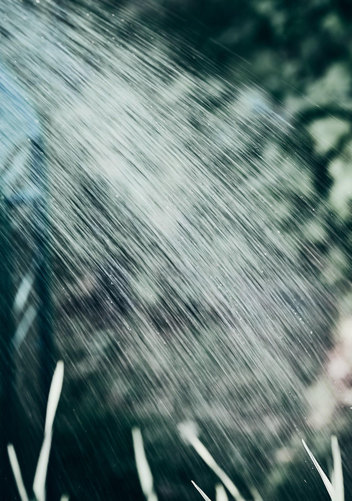 Ботаника. Фотограф Дмитрий Логинов