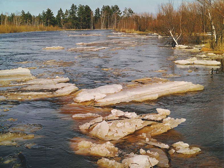 Весна. ВАДИМ ГИППЕНРЕЙТЕР — ВЕЛИКИЙ ФОТОГРАФ ЗЕМЛИ РУССКОЙ