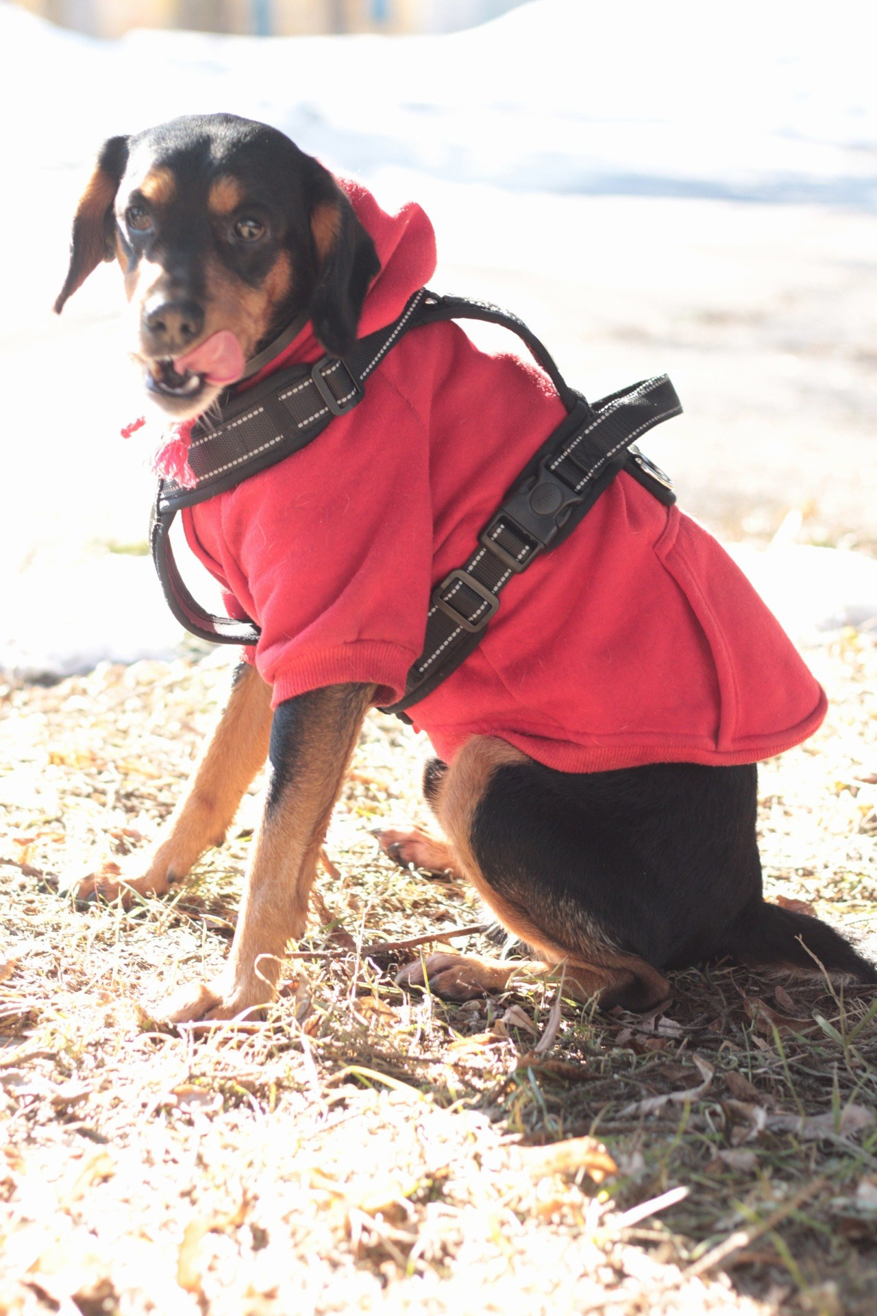 Маша и Кекс. Катя Попова|ЛайфСтайл фотограф