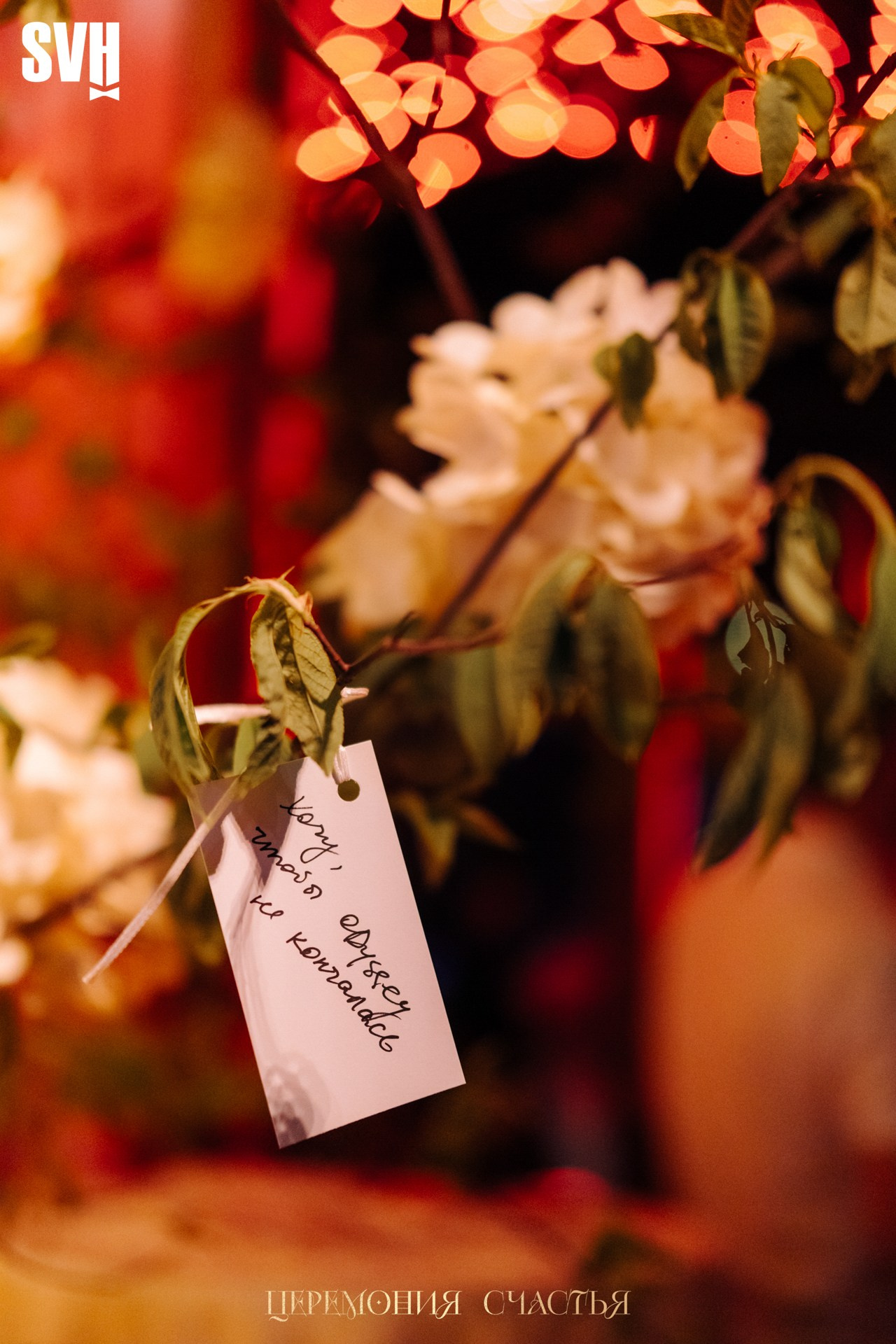 Odyssey «Церемония счастья». Репортажный фотограф Санкт-Петербург