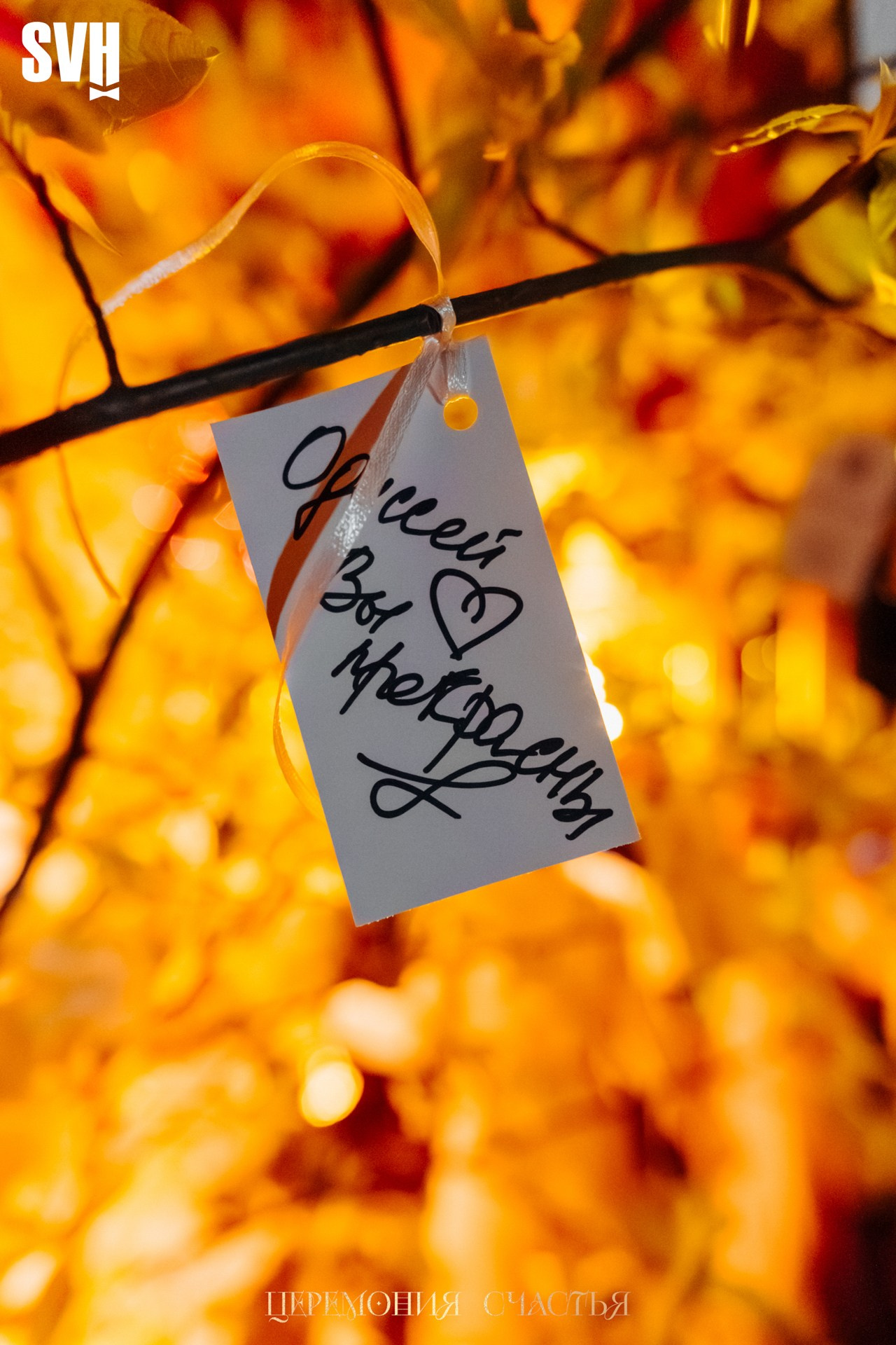 Odyssey «Церемония счастья». Репортажный фотограф Санкт-Петербург