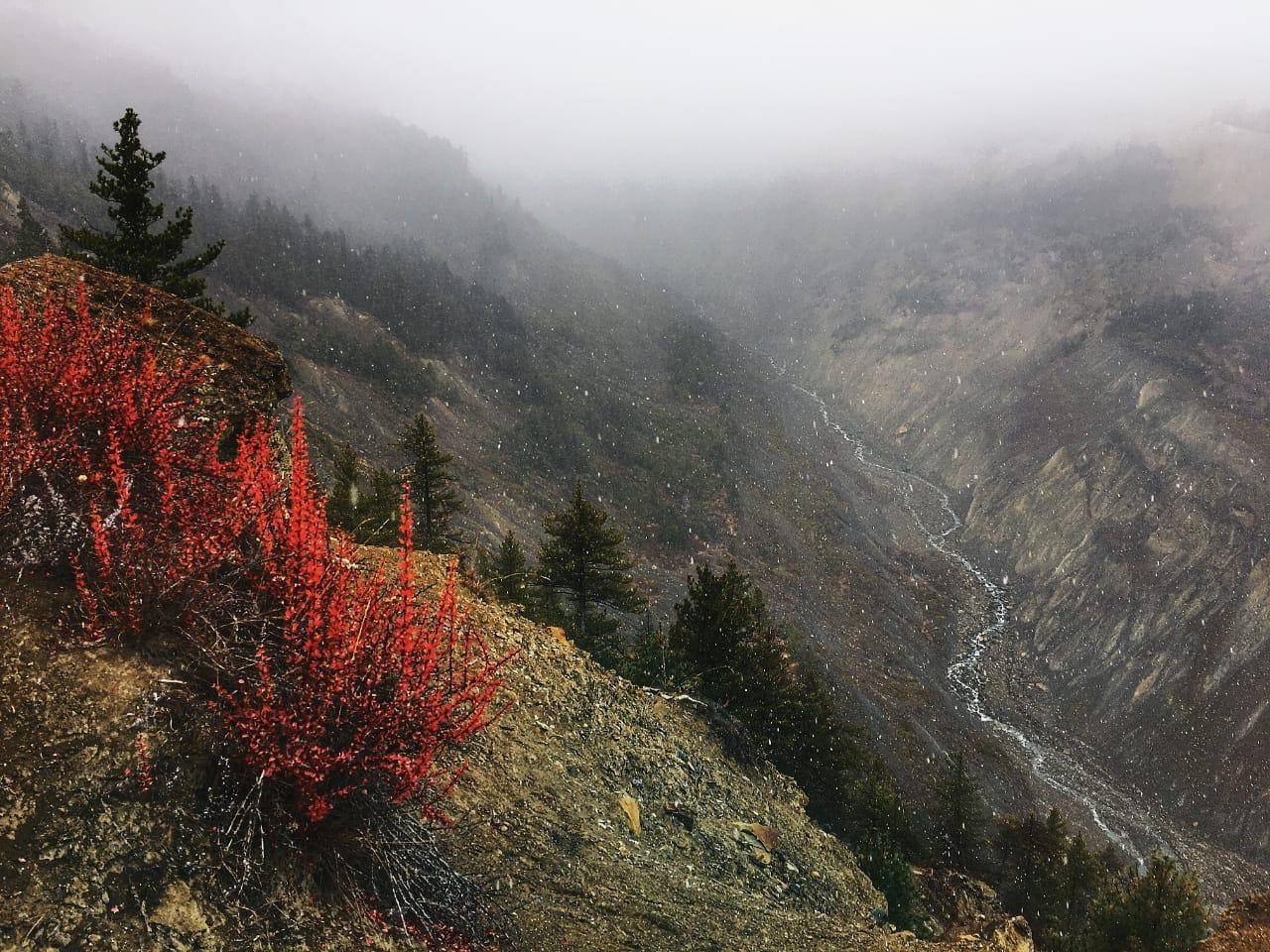 Непал. Фотограф в Москве, в Самаре Инна Мамонова
