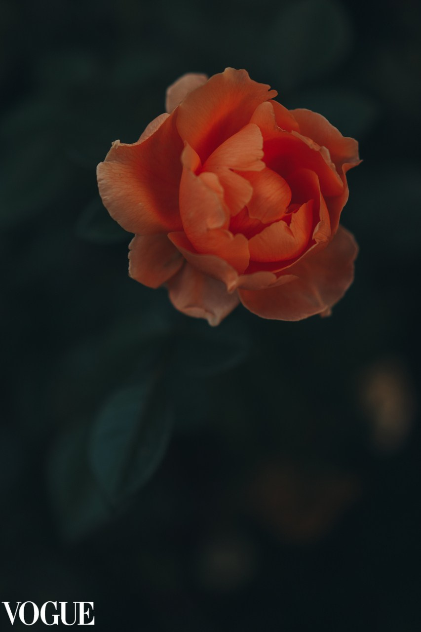 Vogue. Портретный фотограф в Самаре Анна Силютина