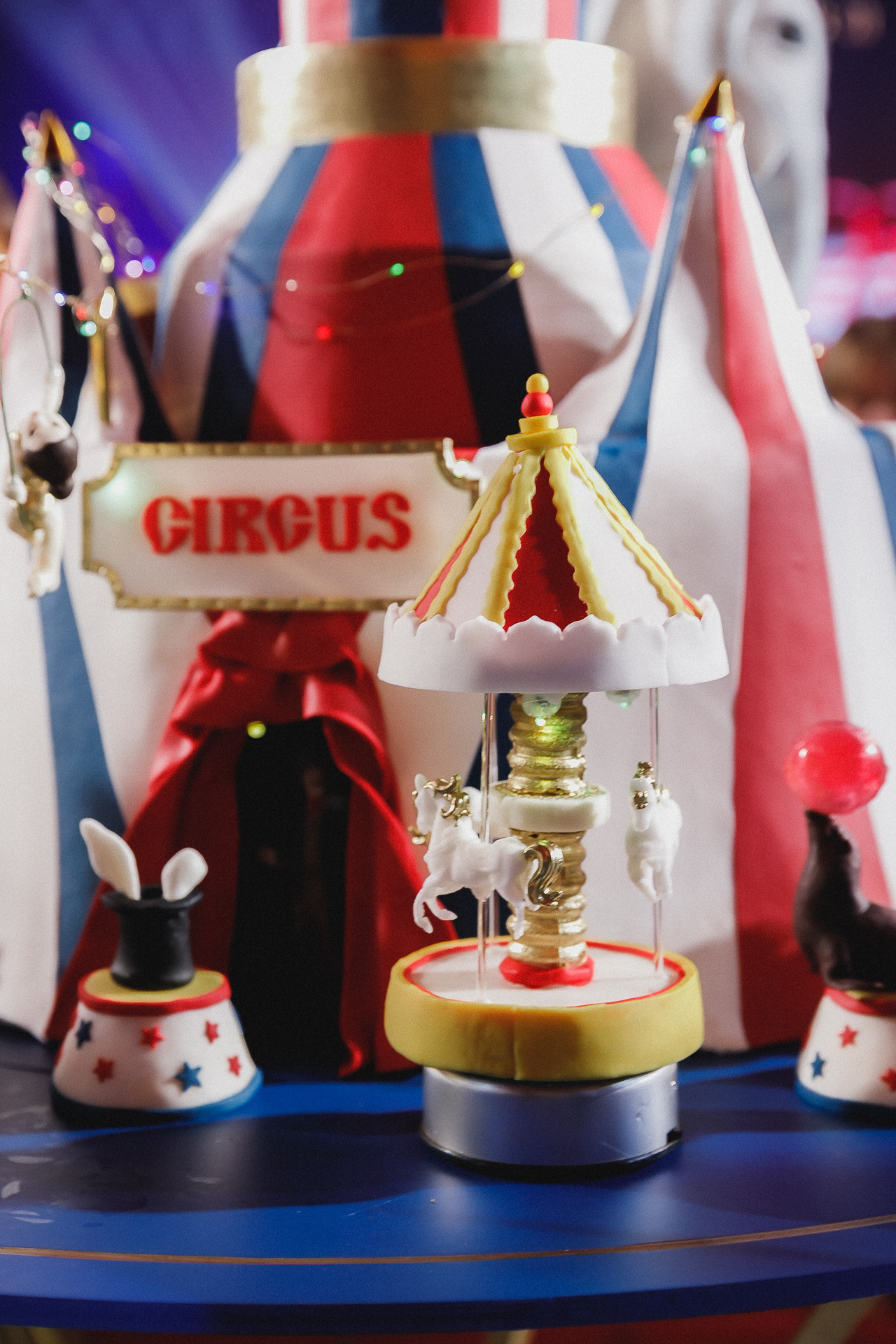 Асянди. Цирк 🎪. Фотограф в Волгограде — Александра Искандерова