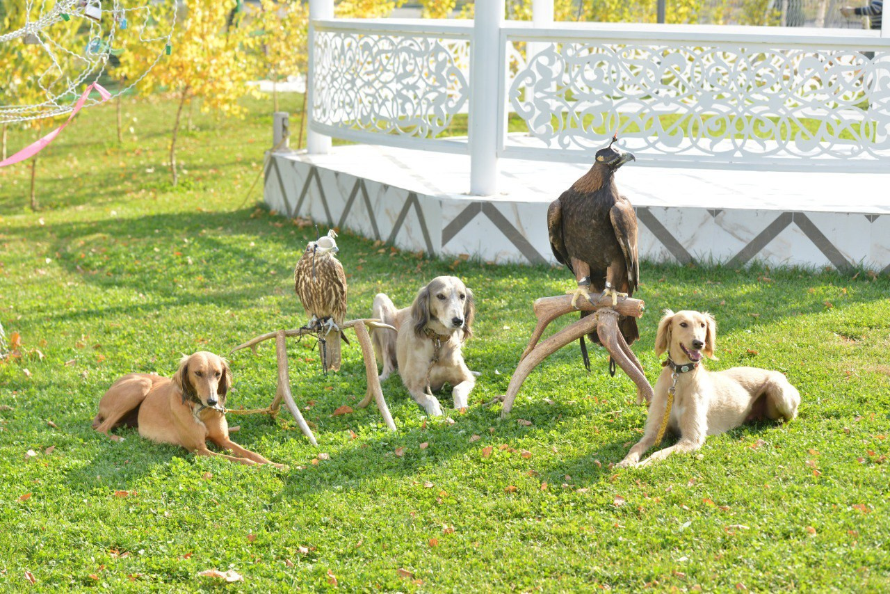 Команда. TOPZHARGAN — Центр национального духа