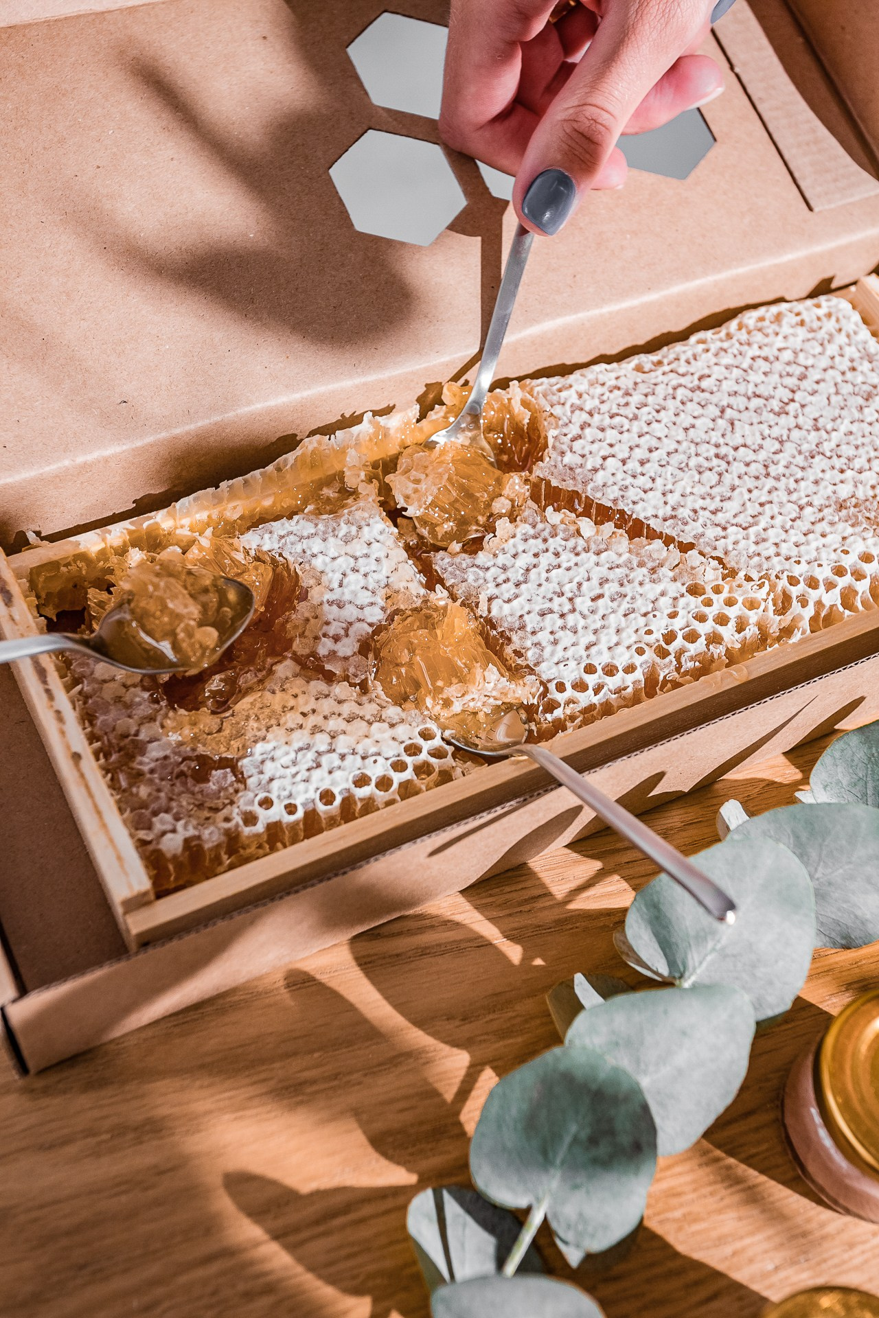 Пасека «Лубенино». Фотограф Александра Иванова