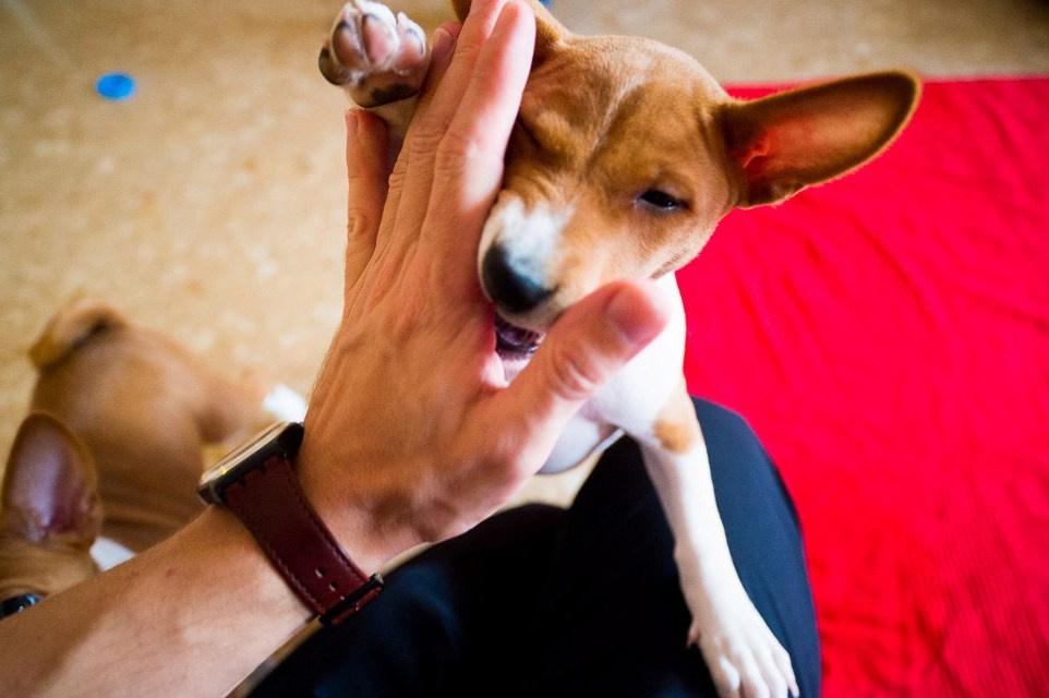 Barcelona. Свадебный фотограф в Ростове-на-Дону Владимир Пешков
