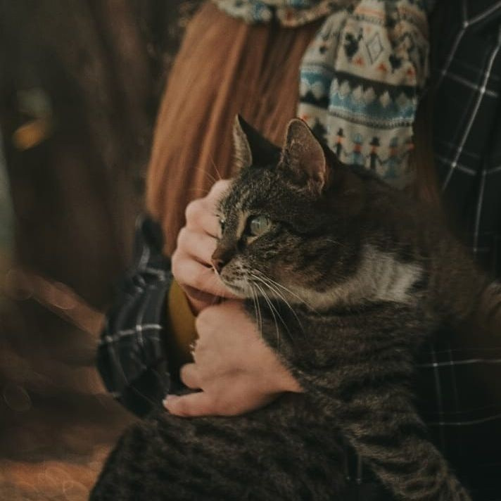 ПОРТФОЛИО. КРАСНОДАР ТВОЙ ЛИЧНЫЙ ФОТОГРАФ