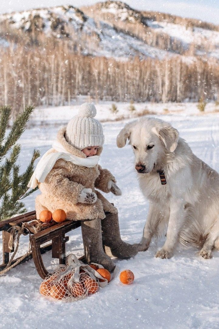 С собачками. Семейный и свадебный фотограф в Минске Юлия Грин