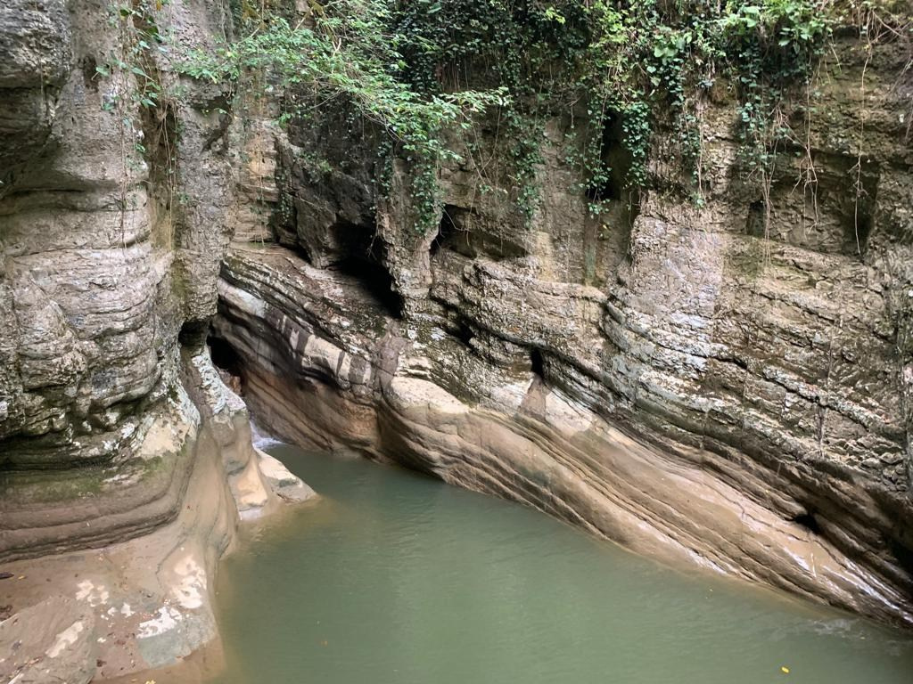 Сочи | 05-06.10.2019. Галерея Фантим