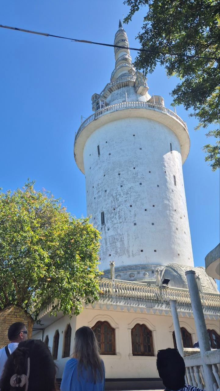 Шри-Ланка | 31.01 — 10.02.2025. Галерея Фантим