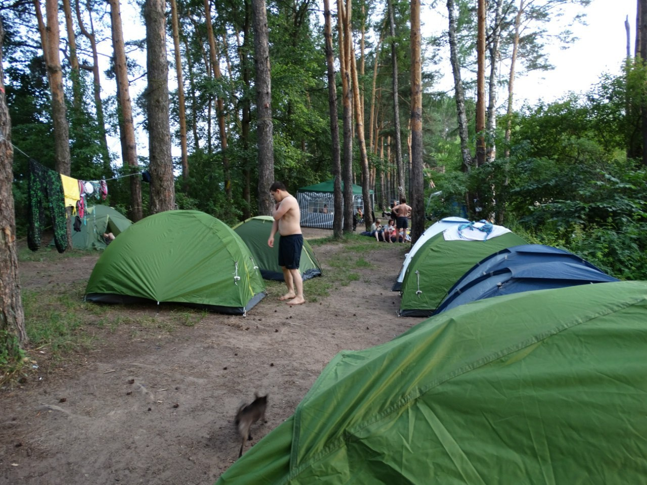 Походная романтика 12 | 26-28.06.2015. Галерея Фантим