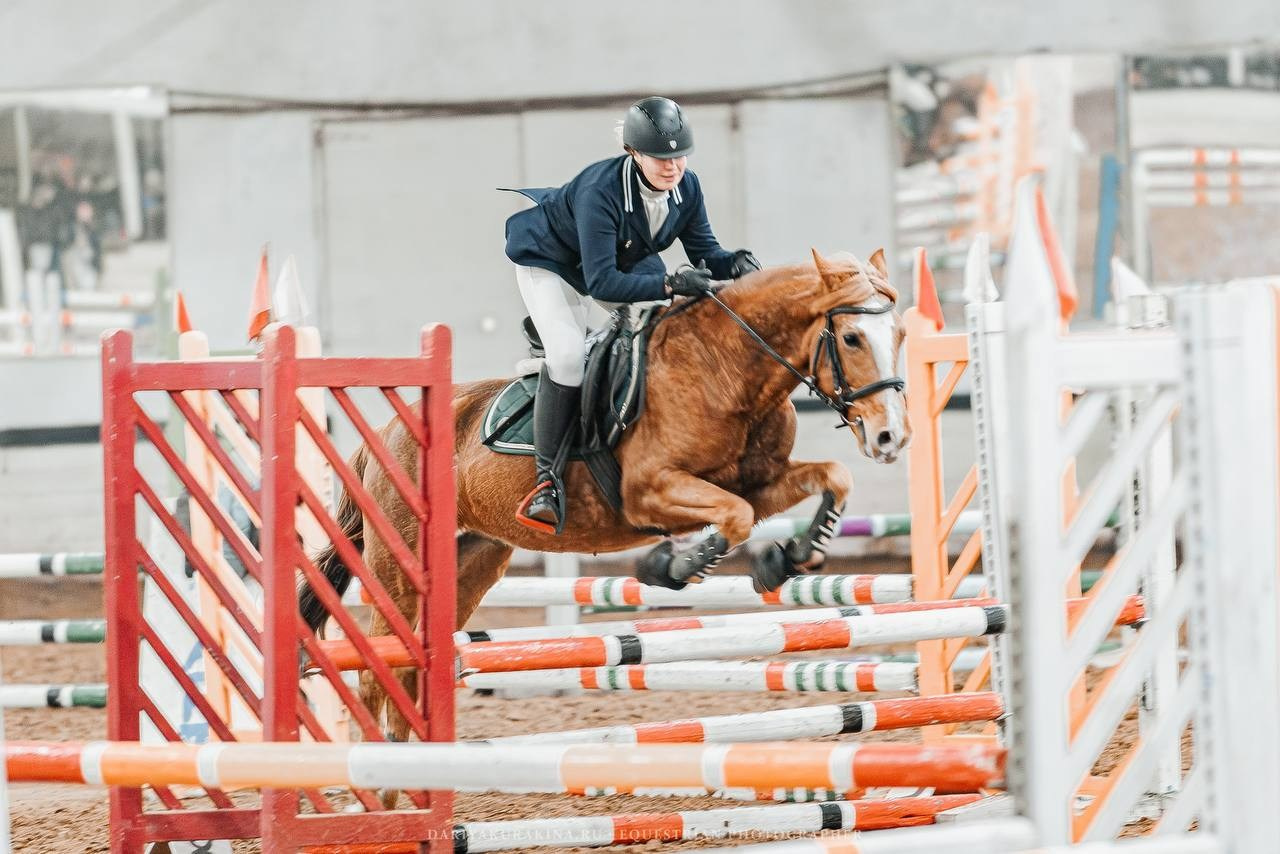 ЧЕМПИОНАТ РАМЕНСКОГО ГОРОДСКОГО ОКРУГА ПО КОНКУРУ в КСК «СОЗВЕЗДИЕ». Куракина Дарья • Конный фотограф