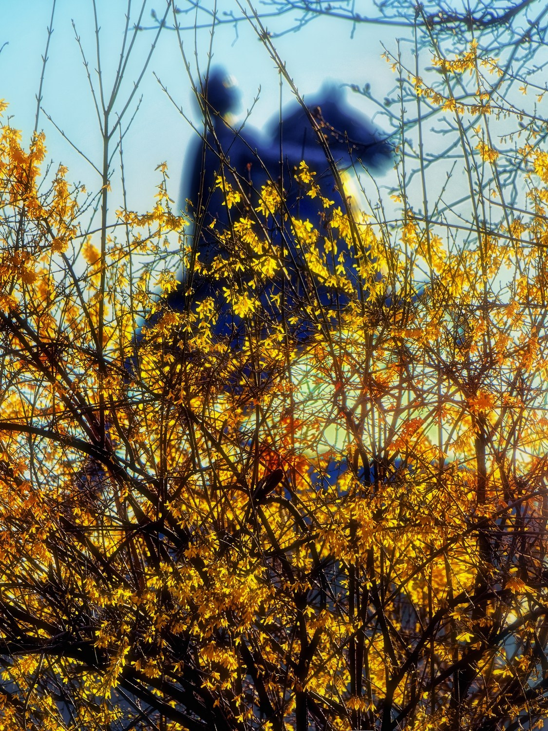 Город. Фотограф Александр Петросян