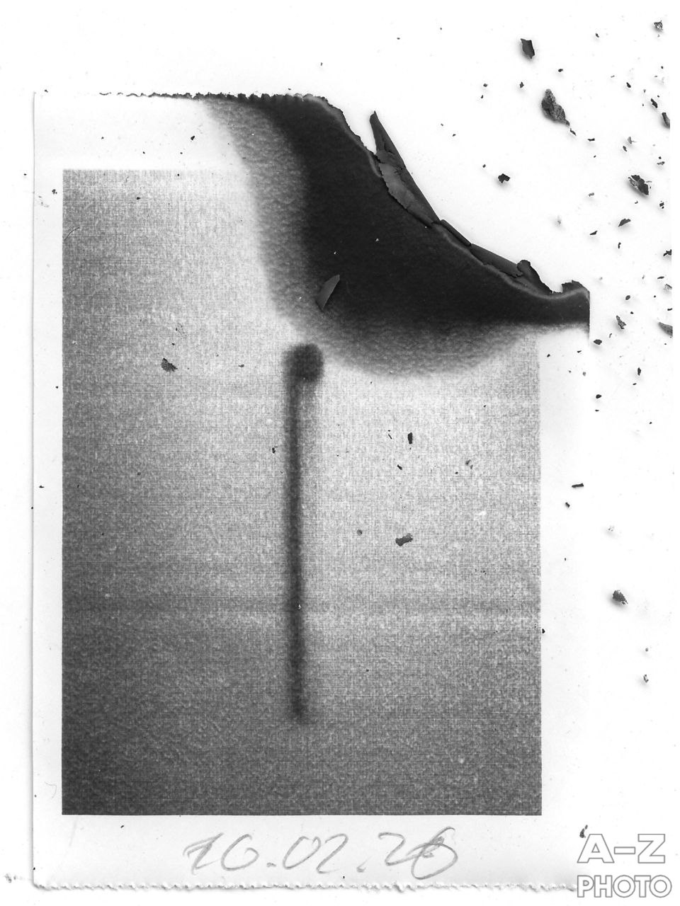 #ФОТОНЕДЕЛИ 15.02.2026. Женский семейный фотограф Тула Москва Захарова Анна