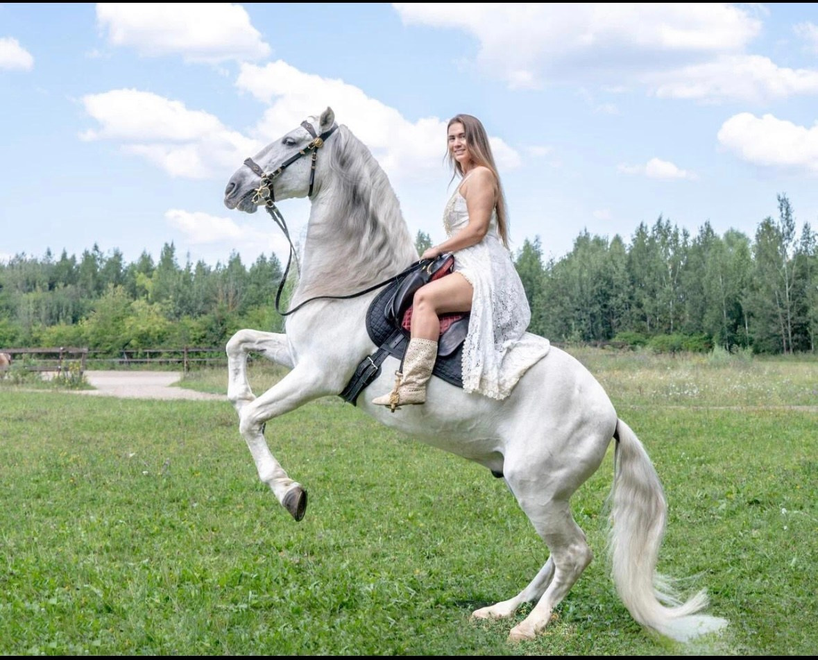 Лошадки Лето. Фотограф Зинаида Евдокимова